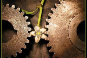 0bfc0ce99892772fc285e10ee3943d9a