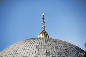 3a9fdfdb8b1a460a423baa85a1a46274