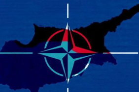 71c43bc146275a525c7bdaf49e0cb02b